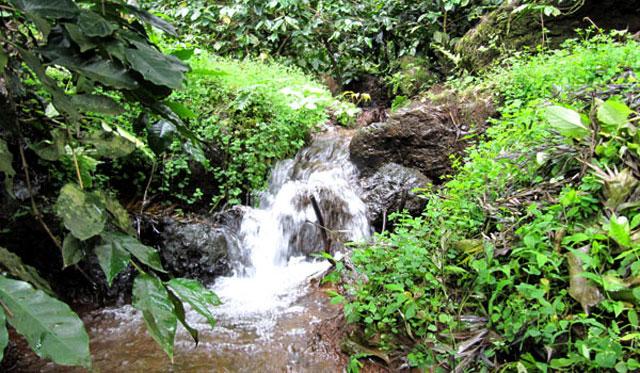 Thotadahalli Homestay photo 24