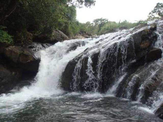 Coffee Village Retreat photo 8