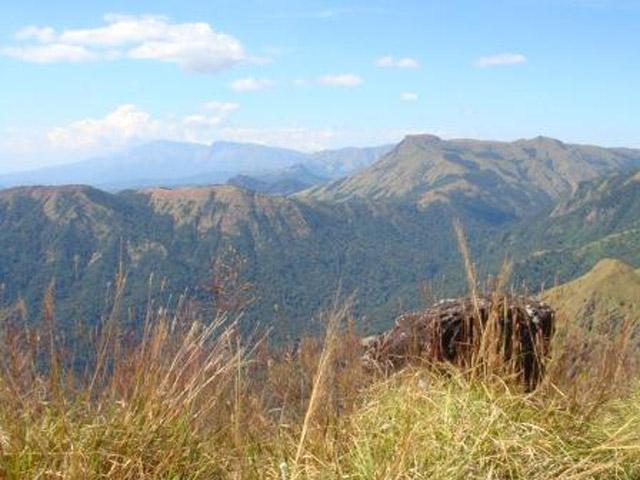 Coffee Village Retreat photo 14