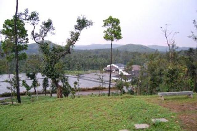 Coffee Village Retreat photo 23