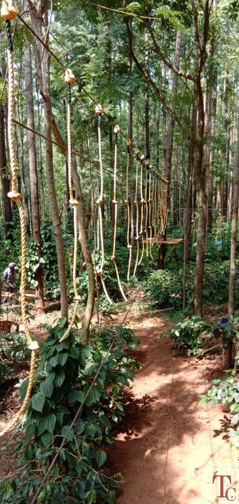 Spectrum Resort photo 2