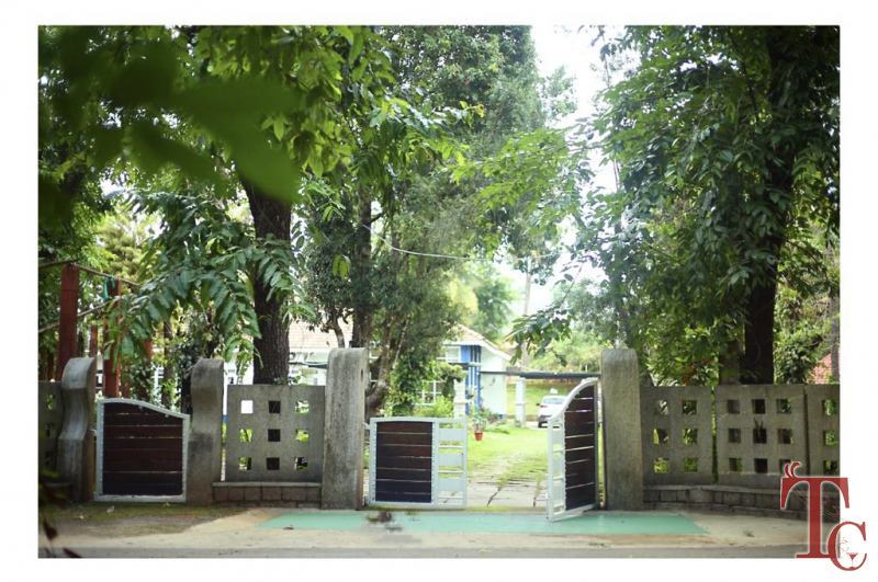 Bananki Homestay photo 33