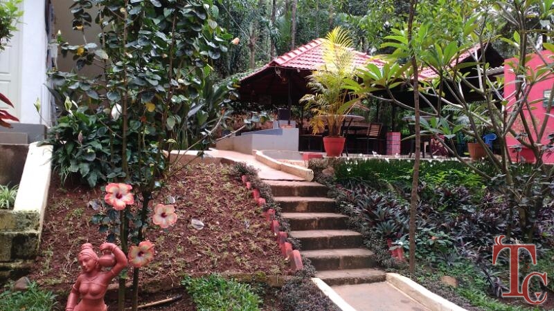 Spectrum Resort photo 30