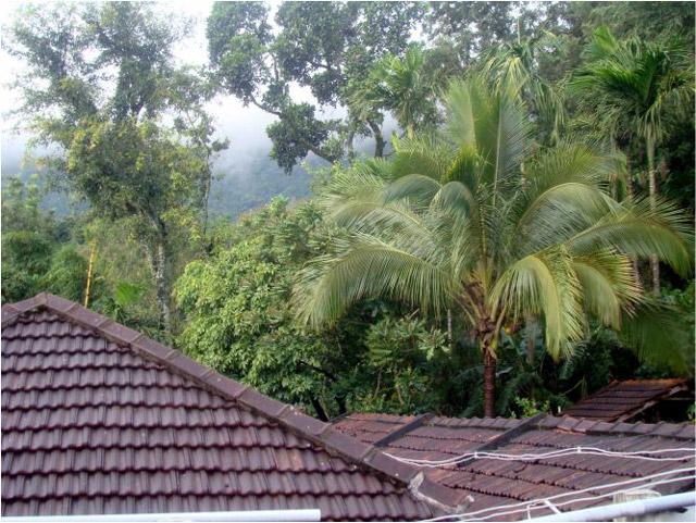 Redberry Homestay photo 16