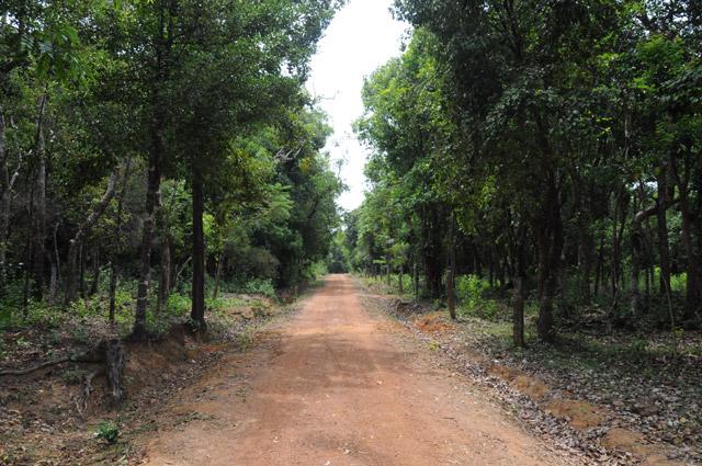 Krushi Koota Homestay photo 4