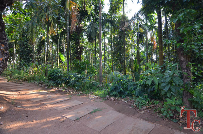 Bananki Homestay photo 41