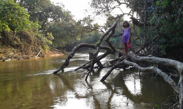 Krushi Koota Homestay photo 28