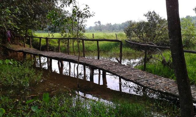 Krushi Koota Homestay photo 30
