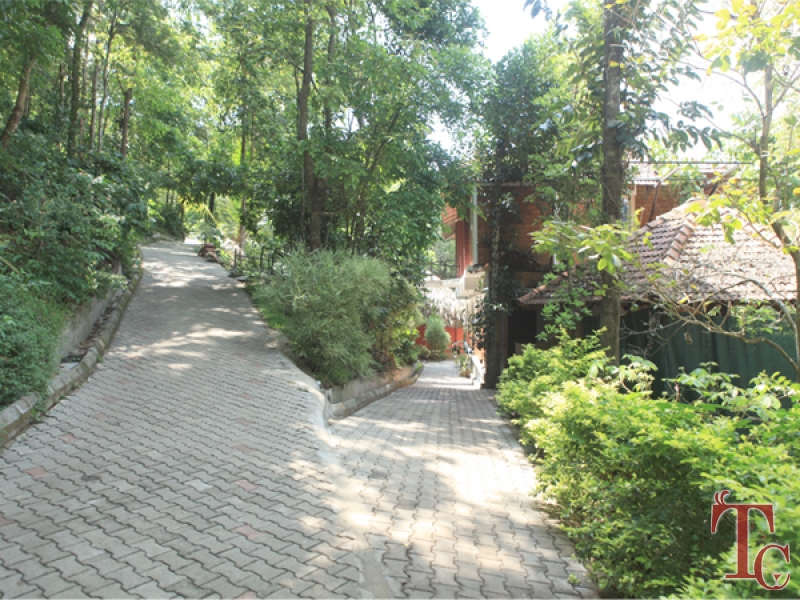 Eagle Eye Resort photo 26