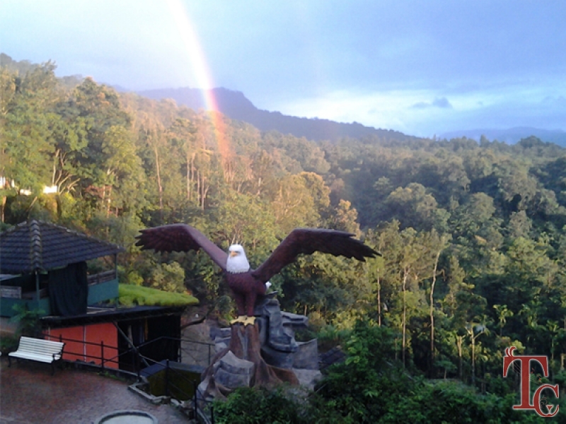 Eagle Eye Resort photo 29