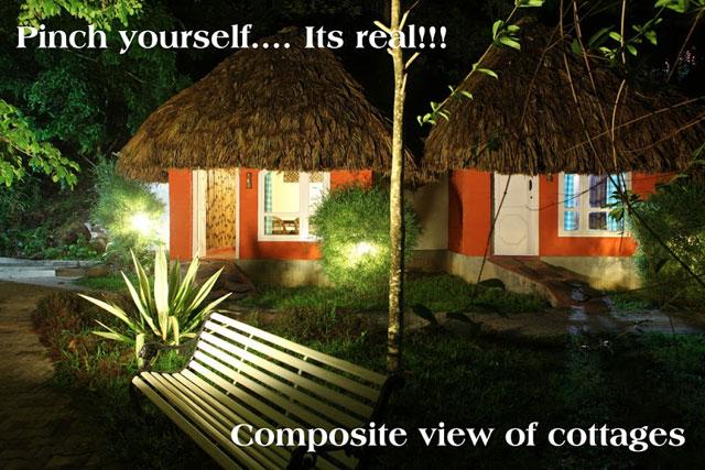 Eagle Eye Resort photo 43