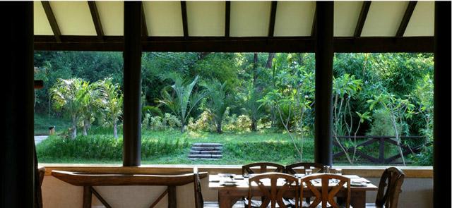 Flameback Resort photo 3