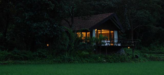 Flameback Resort photo 4