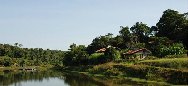 Flameback Resort photo 8