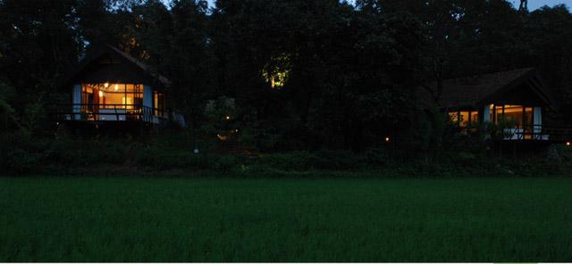 Flameback Resort photo 12