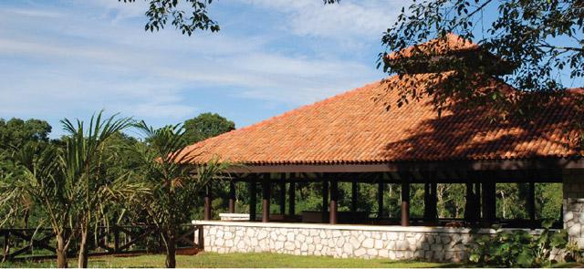 Flameback Resort photo 13