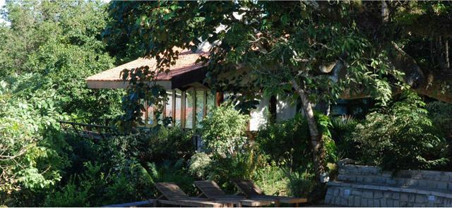 Flameback Resort photo 15