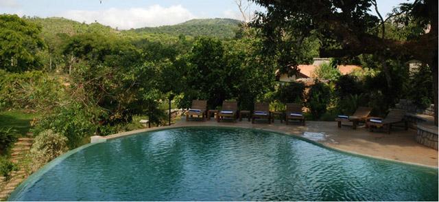 Flameback Resort photo 17