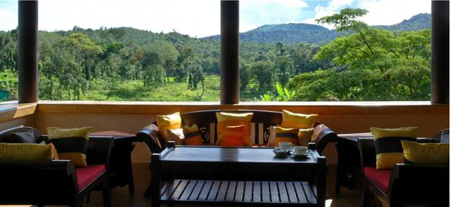 Flameback Resort photo 21