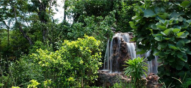 Flameback Resort photo 22