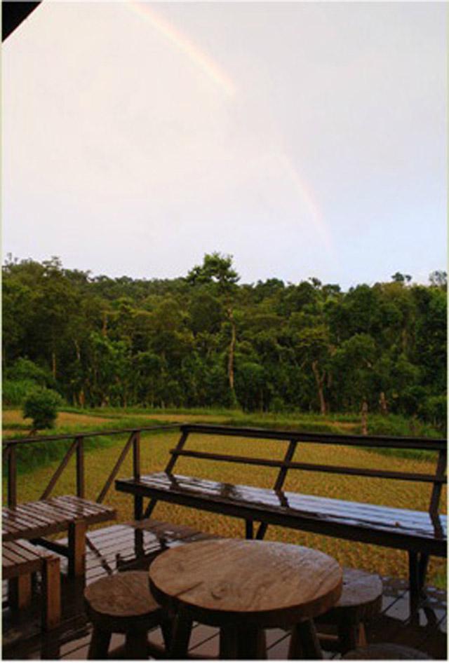 Flameback Resort photo 26