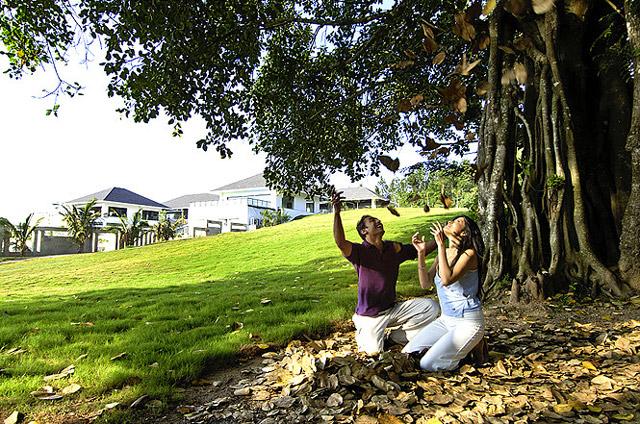 The Serai Resort photo 18