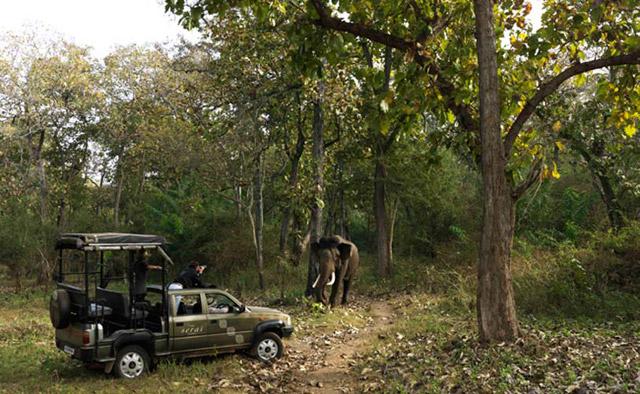 The Serai Kabini photo 3