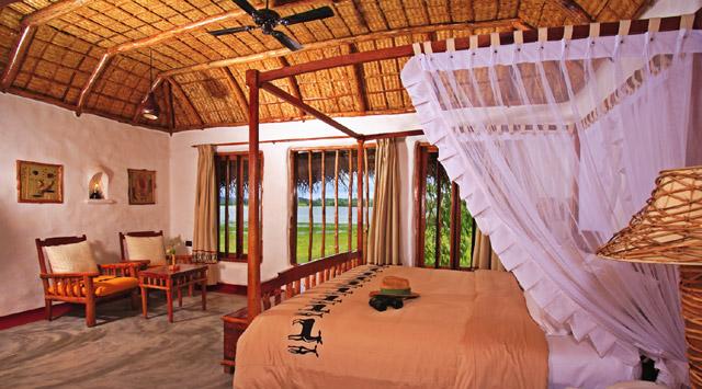Orange County Kabini photo 5