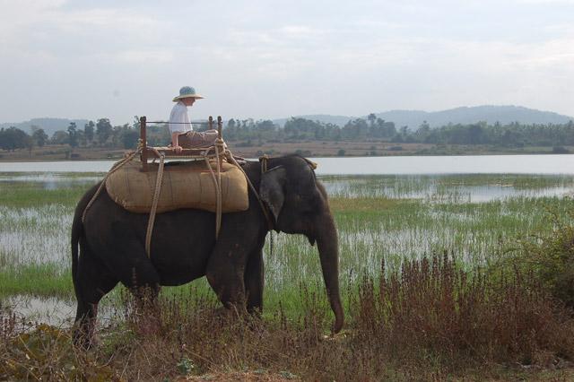 Orange County Kabini photo 23