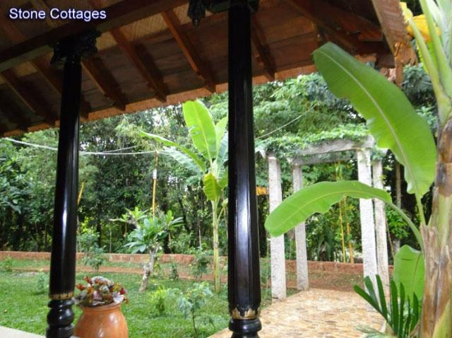Wild Woods Spa and Resort photo 5