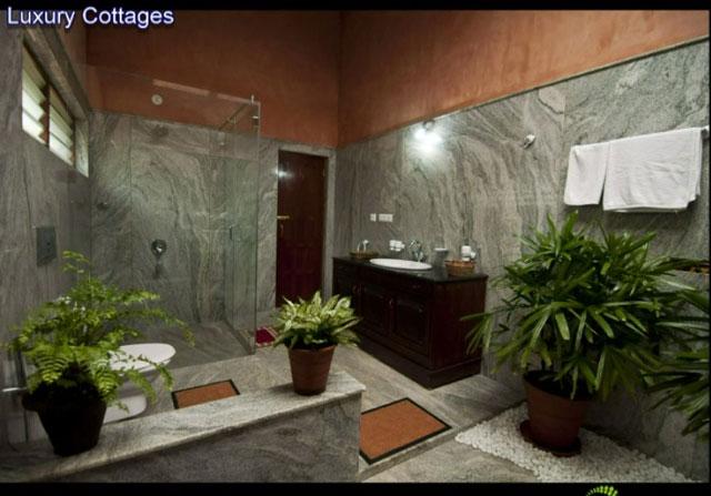 Wild Woods Spa and Resort photo 6