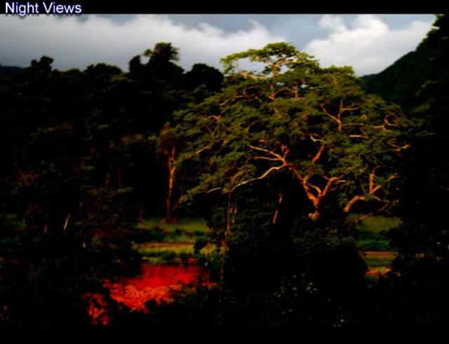 Wild Woods Spa and Resort photo 8