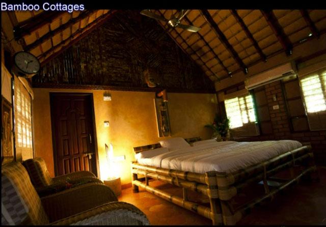 Wild Woods Spa and Resort photo 9