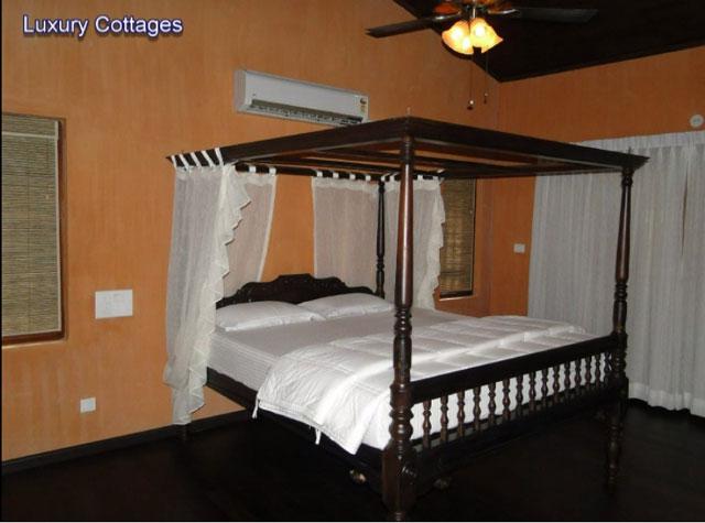 Wild Woods Spa and Resort photo 16
