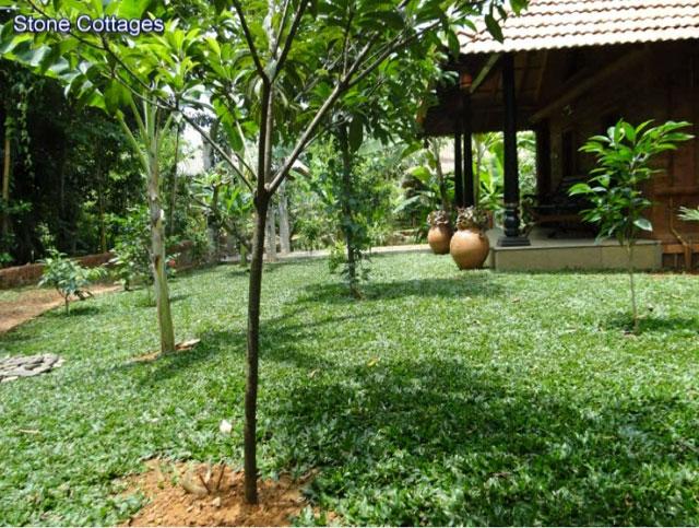 Wild Woods Spa and Resort photo 18