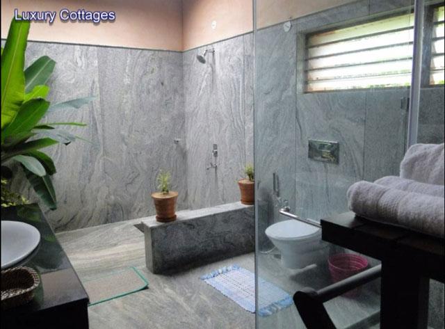 Wild Woods Spa and Resort photo 34