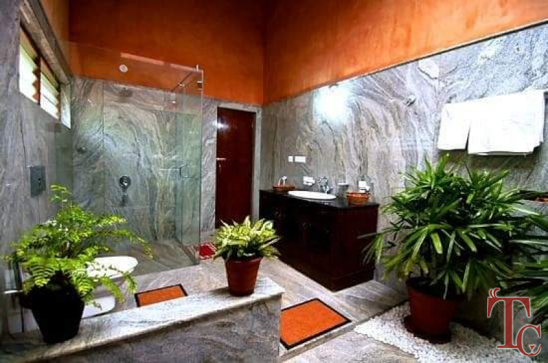 Wild Woods Spa and Resort photo 41