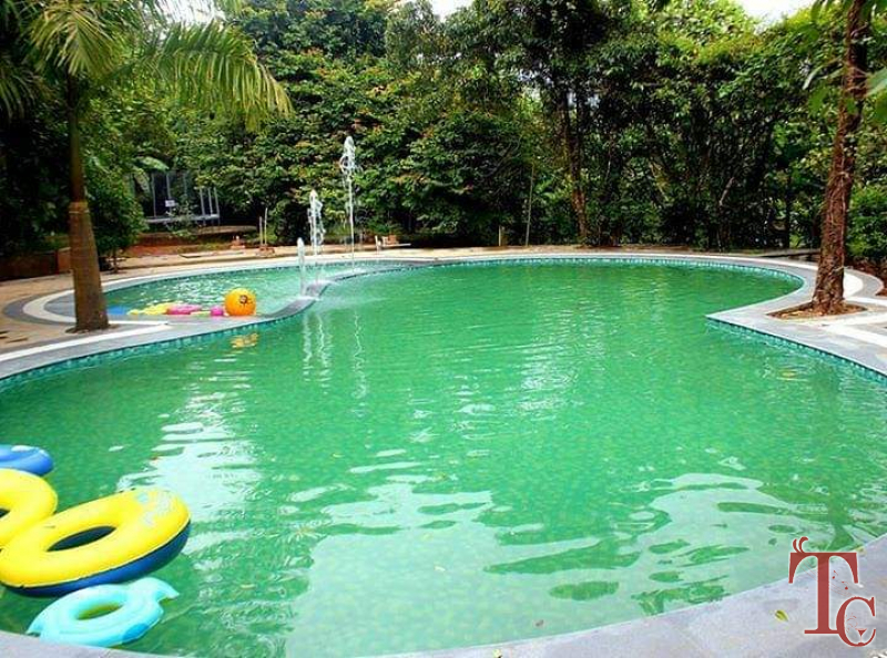Wild Woods Spa and Resort photo 48