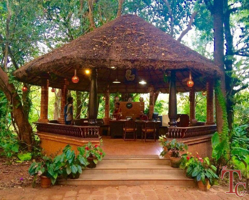 Wild Woods Spa and Resort photo 50