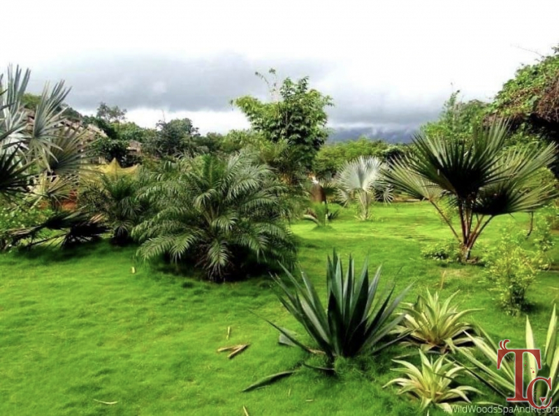 Wild Woods Spa and Resort photo 52