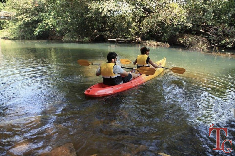 Wild Woods Spa and Resort photo 56