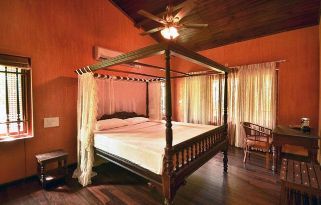Wild Woods Spa and Resort photo 60