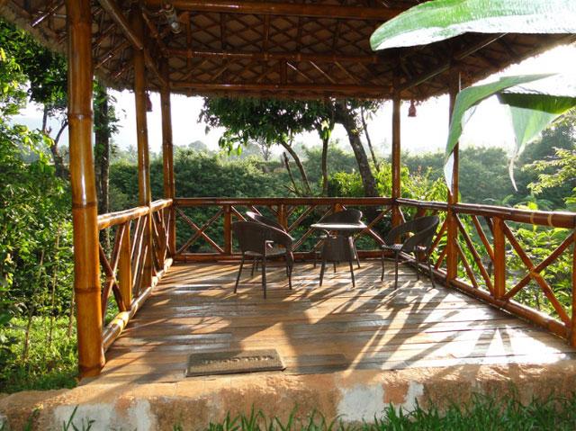 Wild Woods Spa and Resort photo 62