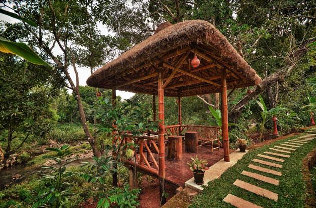 Wild Woods Spa and Resort photo 63