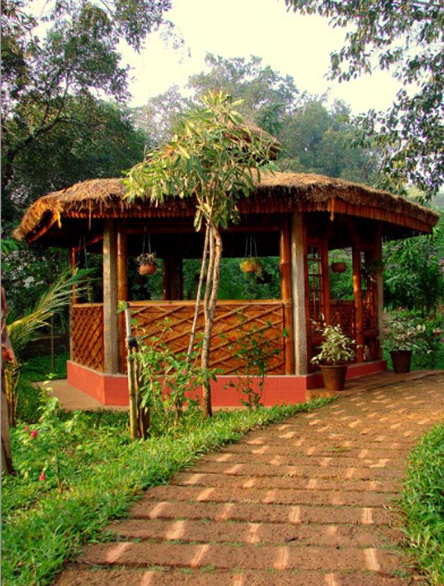 Wild Woods Spa and Resort photo 64