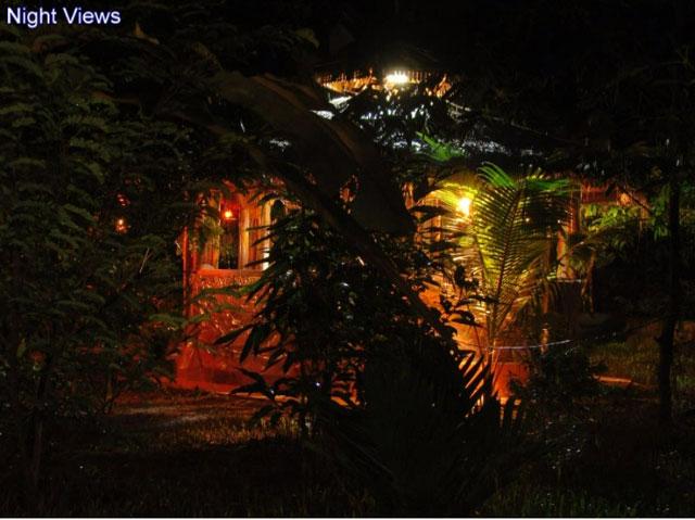 Wild Woods Spa and Resort photo 68