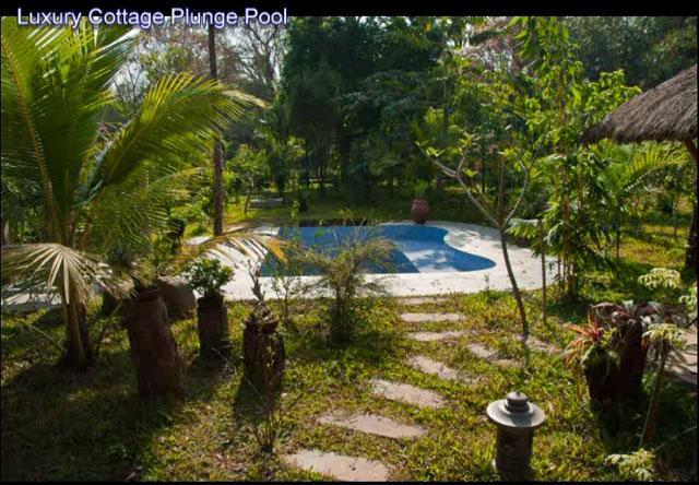 Wild Woods Spa and Resort photo 69