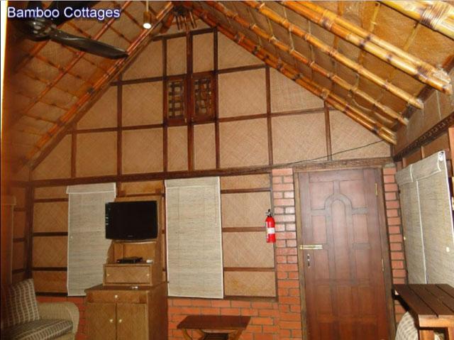 Wild Woods Spa and Resort photo 73
