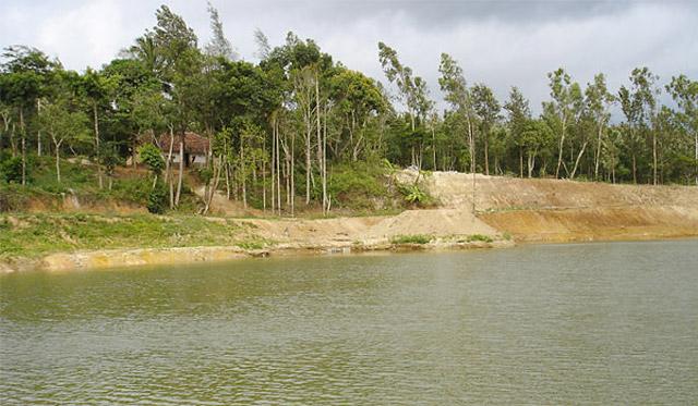 Prakritik Estate Homestay photo 7