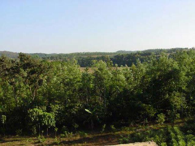 Prakritik Estate Homestay photo 10
